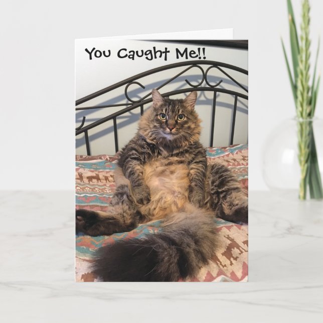 Anniversaire Hairball Kimber Chat Carte Anniversai (Devant)