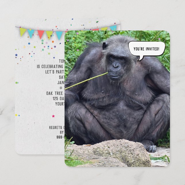 Anniversaire invitation du parti Chimpanzee (Devant / Derrière)