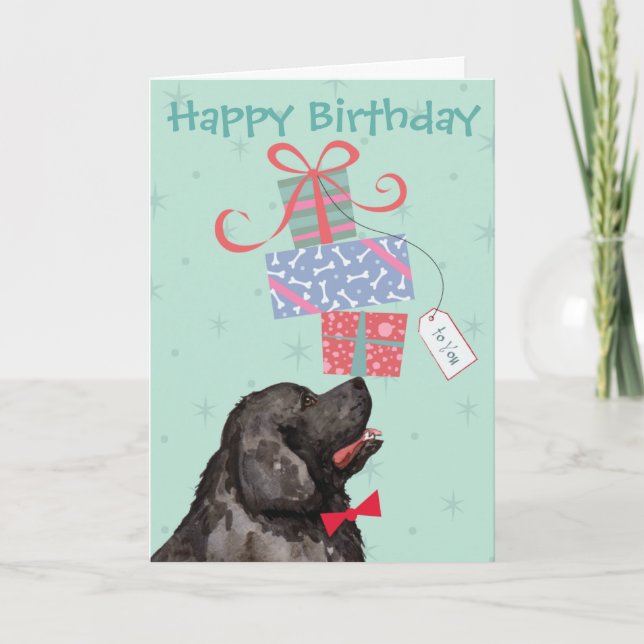 Anniversaire Présente Carte Terre-Neuve (Devant)