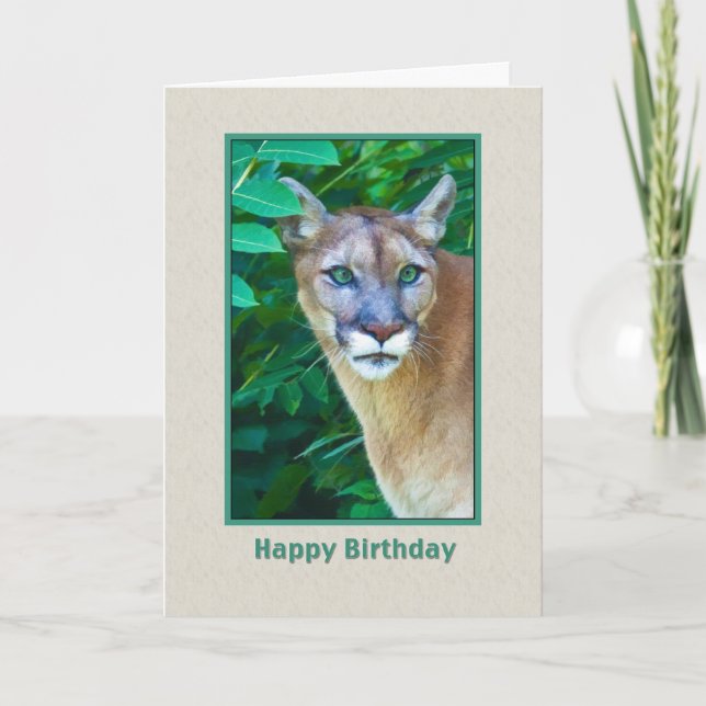 Anniversaire, puma dans la carte de jungle (Devant)