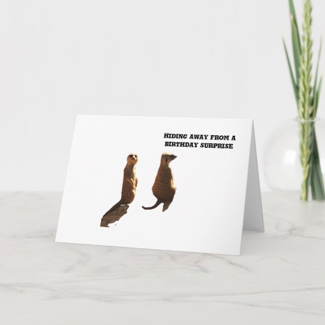 Anniversaire surprise des Meerkats, carte (Devant)