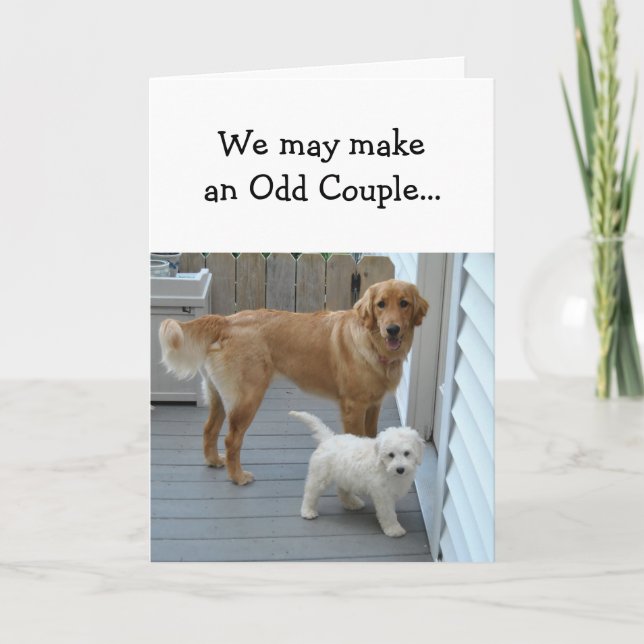 Anniversary Partner Sweetheart with Cute Dog Humor Karte (Vorderseite)
