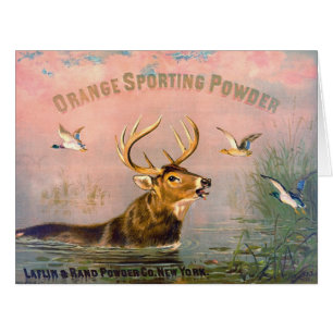 Annonce vintage 1873 de poudre