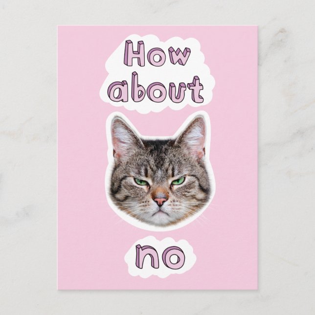Annoyed Cat Einladungspostkarte (Vorderseite)