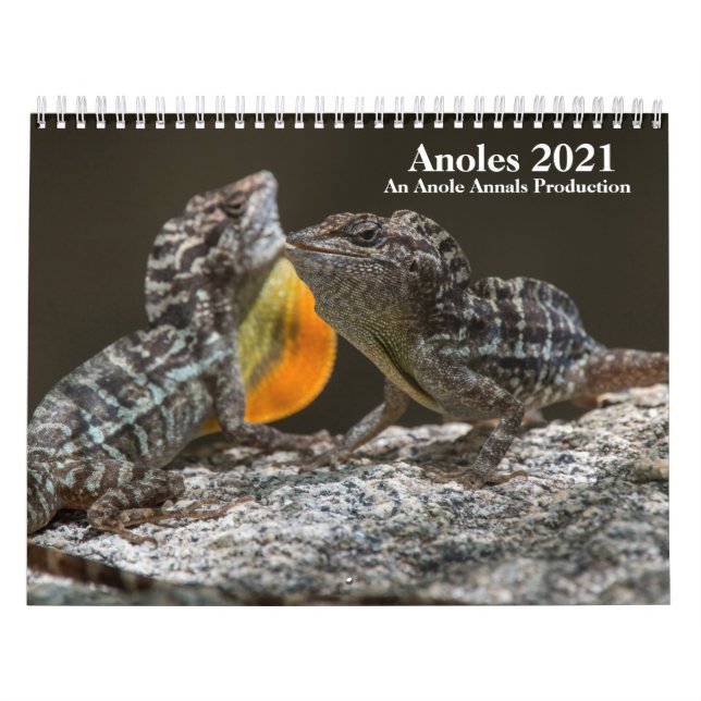 Anole Annals 2021 Kalender (Titelbild)