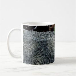 Anole Lizard 6704 Kaffeetasse