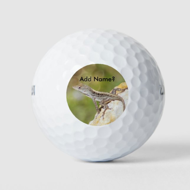 Anole Lizard Foto Golf Balls Golfball (Vorderseite)