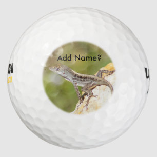 Anole Lizard Foto Golf Balls Golfball