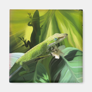 Anole Lizard Magnet