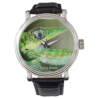 Anole Watch: Anolis equestris Armbanduhr
