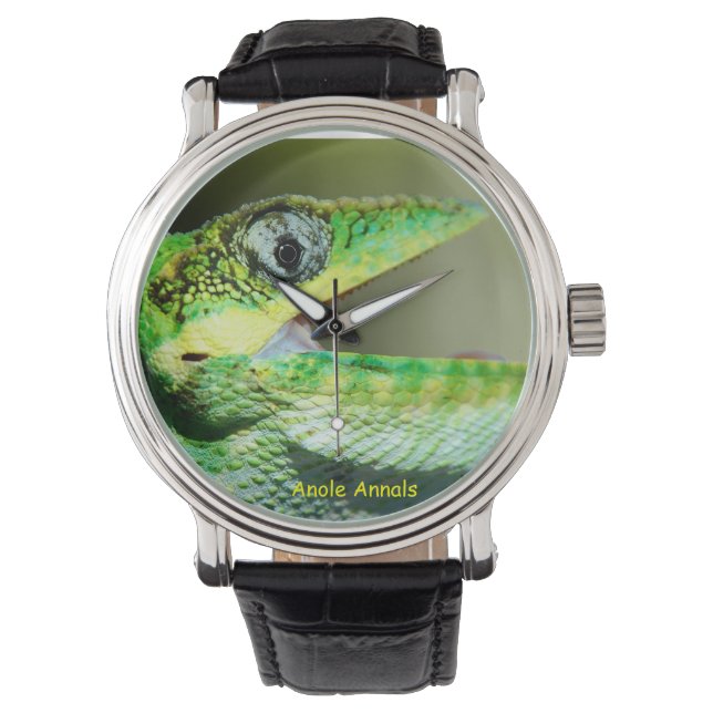 Anole Watch: Anolis equestris Armbanduhr (Vorderseite)