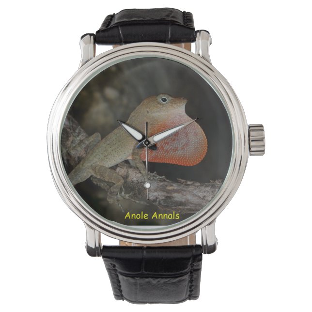 Anole Wristwatch: Anolis marcanoi Armbanduhr (Vorderseite)