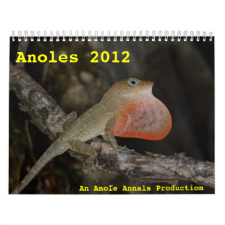 Anoles 2012 kalender