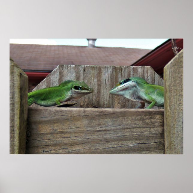 Anoles Gesicht aus Poster (Vorne)