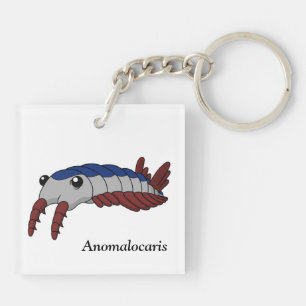 Anomalocaris - Animal préhistorique