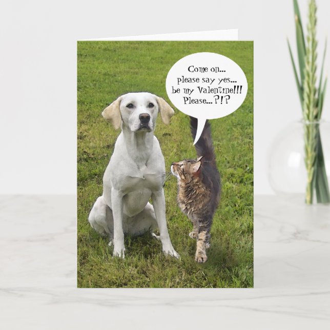 (Anpassbar) Cat & Dog Valentine Feiertagskarte (Vorderseite)
