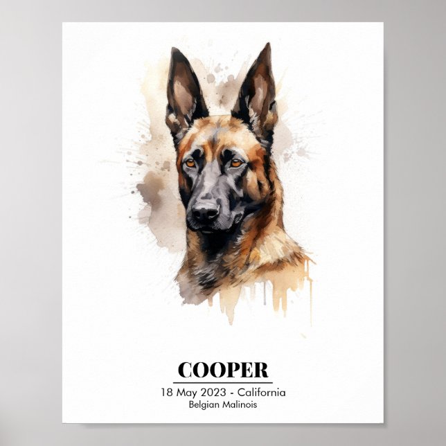 Anpassbare Aquarellbilder von Malinois Poster (Vorne)