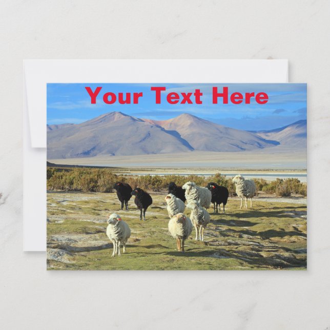 Anpassbare chilenische Schafskarte (Vorderseite)