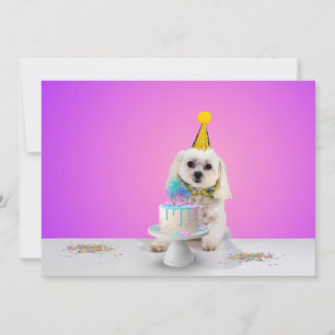Anpassbare flache Party-Einladungskarte 5x7 Einladung
