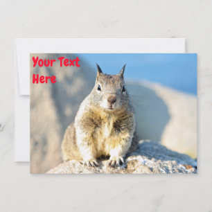 Anpassbare graue Eichhörnchenkarte Karte