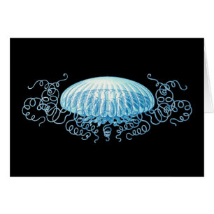 Anpassbare Haeckel Jellyfish