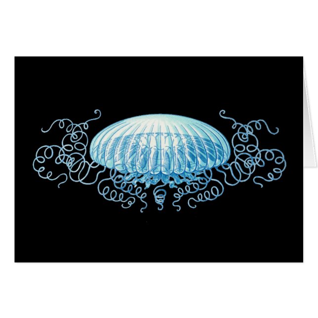 Anpassbare Haeckel Jellyfish (Vorderseite (Horizontal))