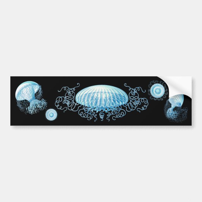Anpassbare Haeckel Jellyfish Autoaufkleber (Vorne)