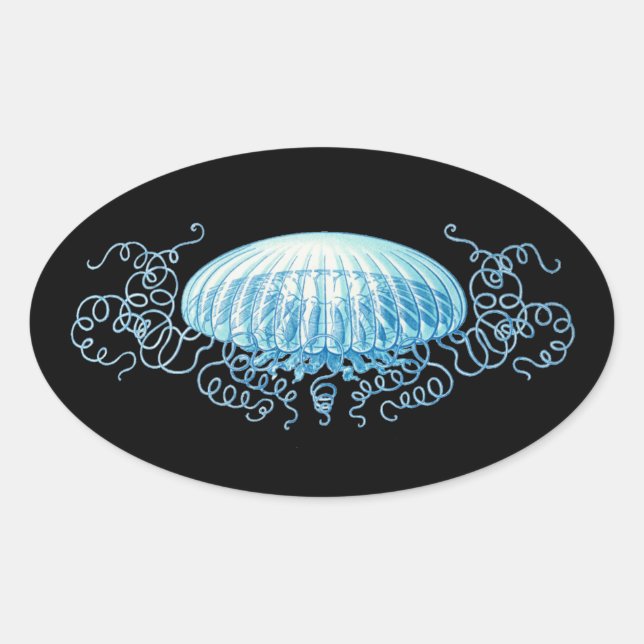 Anpassbare Haeckel Jellyfish Ovaler Aufkleber (Vorderseite)