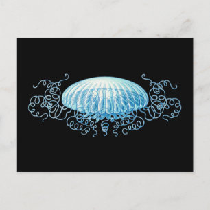 Anpassbare Haeckel Jellyfish Postkarte