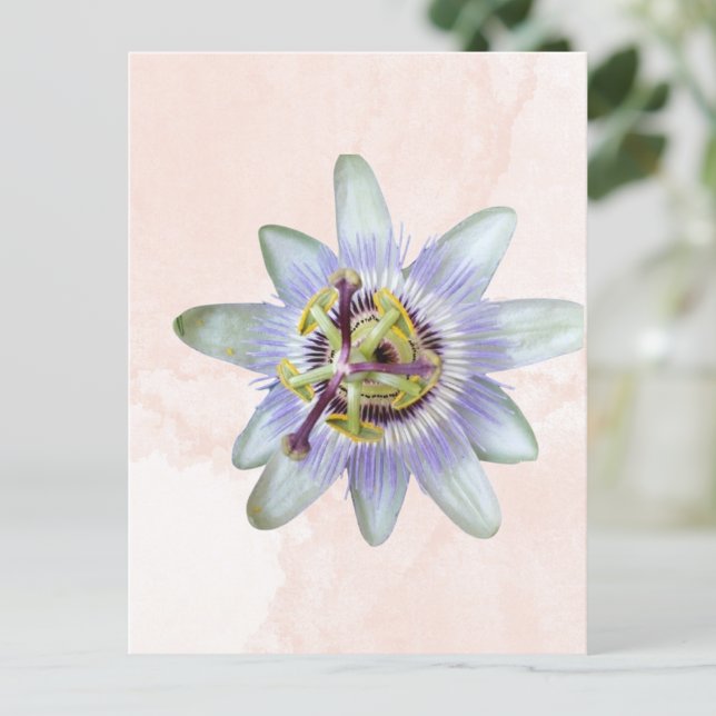 Anpassbare Passions-Blume Postkarte (Von Creator hochgeladen)