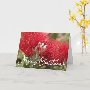 ANPASSBARE POHUTAKAWA WEIHNACHTS-KIWI-KARTE KARTE
