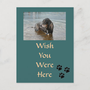 Anpassbare Postkarte