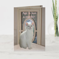 Anpassbare, sonnige Katze mit Spiegelbild