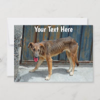 Anpassbare streunbare Hundekarte
