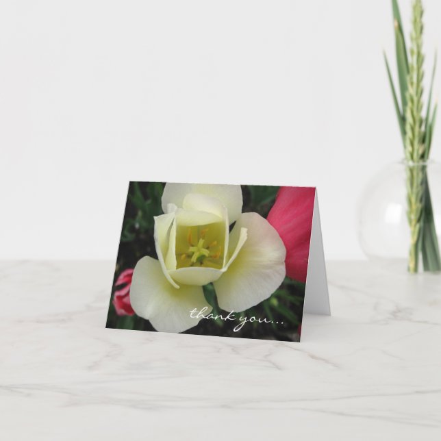 Anpassbare Tulip-Karte Dankeskarte (Vorderseite)