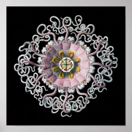Anpassbare Vintage Haeckel Poster