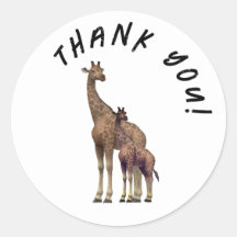 Anpassbare Zebra Vielen Dank