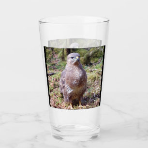 Anpassbarer Bussard Starrer Vogel Wildtiere Natur Glas