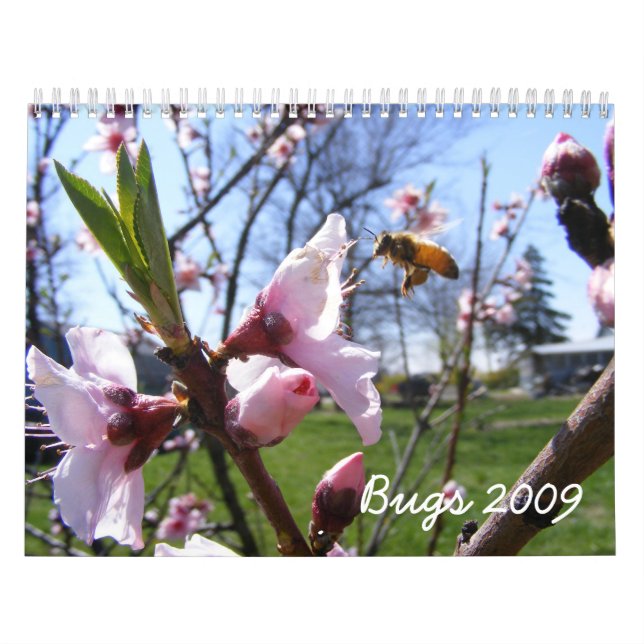 Anpassbarer Fehlerkalender Kalender (Titelbild)