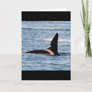 Anpassbarer John Coe Killerwal Westküste Orca Karte