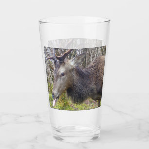 Anpassbares Freches Lustiges Junggesellenabschied Glas