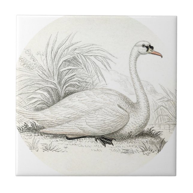 Anpassen atemberaubender Vintager Kunstschwan Fliese (Vorderseite)