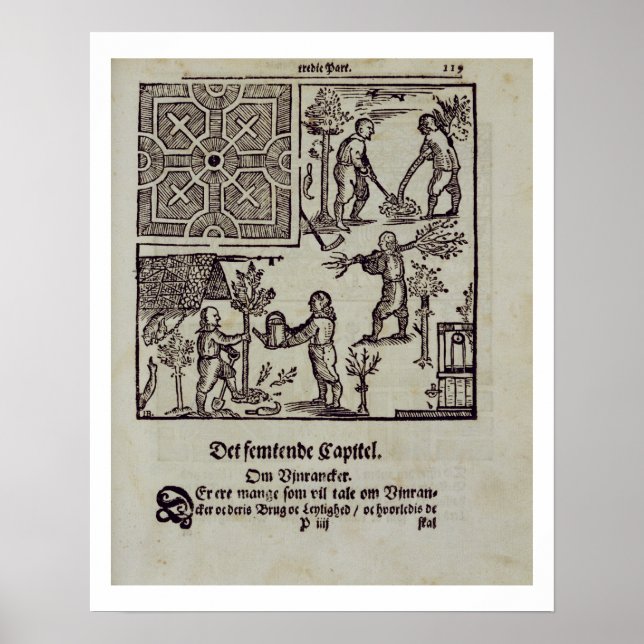 Anpflanzen von Bäumen, aus dem "Holländischen Gart Poster (Vorne)