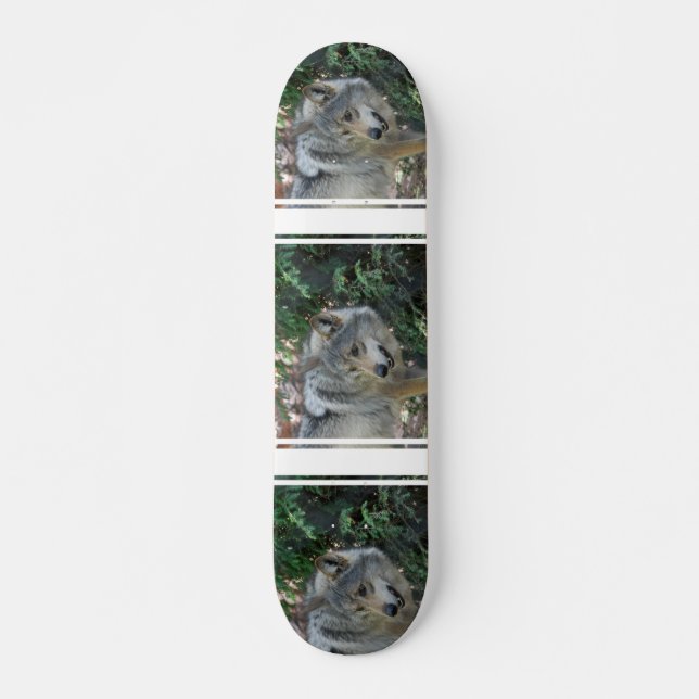 Anpirschendes Wolf-Skateboard Skateboard (Vorne)