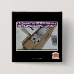 Anruf 1-800-LOLCATS Button