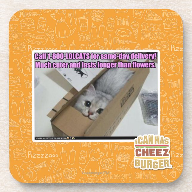 Anruf 1-800-LOLCATS Getränkeuntersetzer (Vorderseite)
