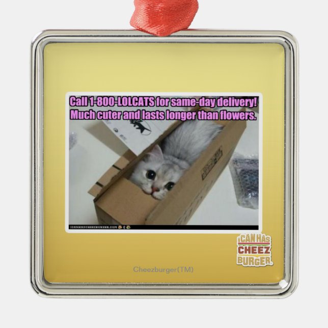 Anruf 1-800-LOLCATS Ornament Aus Metall (Vorne)