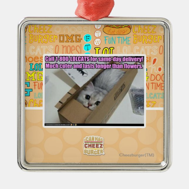 Anruf 1-800-LOLCATS Silbernes Ornament (Vorne)