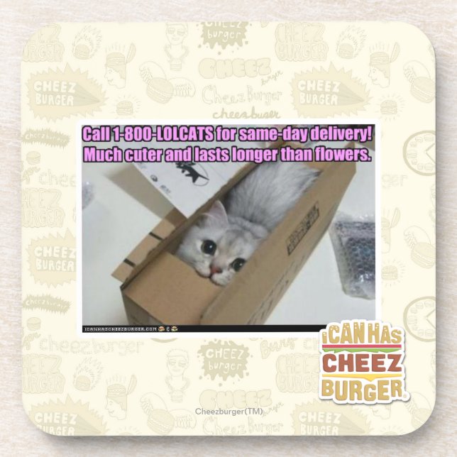 Anruf 1-800-LOLCATS Untersetzer (Vorderseite)