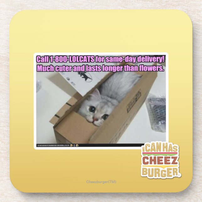 Anruf 1-800-LOLCATS Untersetzer (Vorderseite)